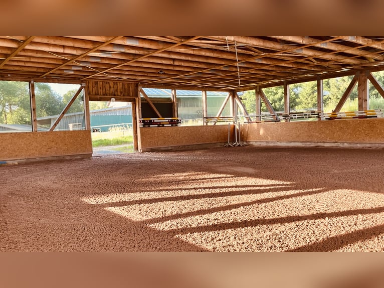 Fattoria con maneggio coperto, stalla e 45.000 mq di terreno