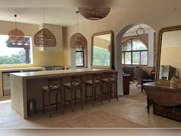 Fattoria da Sogno di oltre 90 ettari vicino a Siviglia