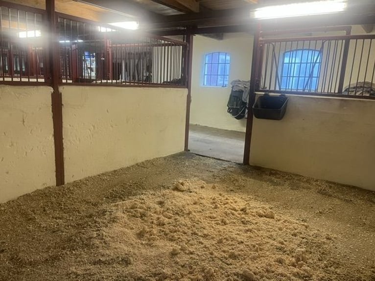 Fattoria di 33 ettari nel sud della Svezia