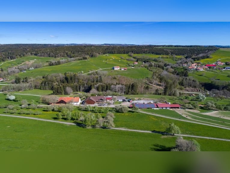 Fattoria di 47 ettari nel Sud della Foresta Nera – ideale come proprietà equestre