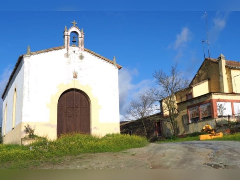 Fattoria di caccia e bestiame fantastica.