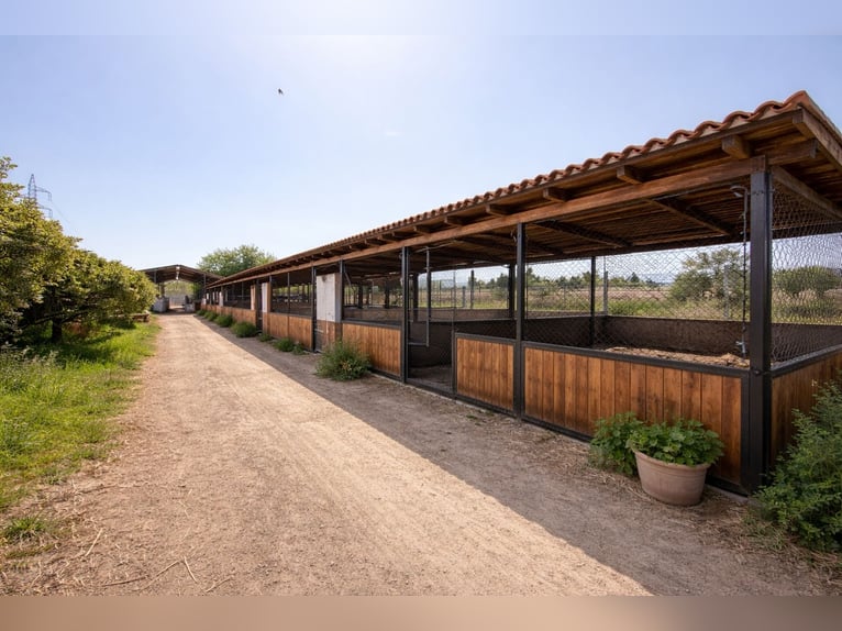 Fattoria equestre a La Marina, Alicante, prossima a (MET)