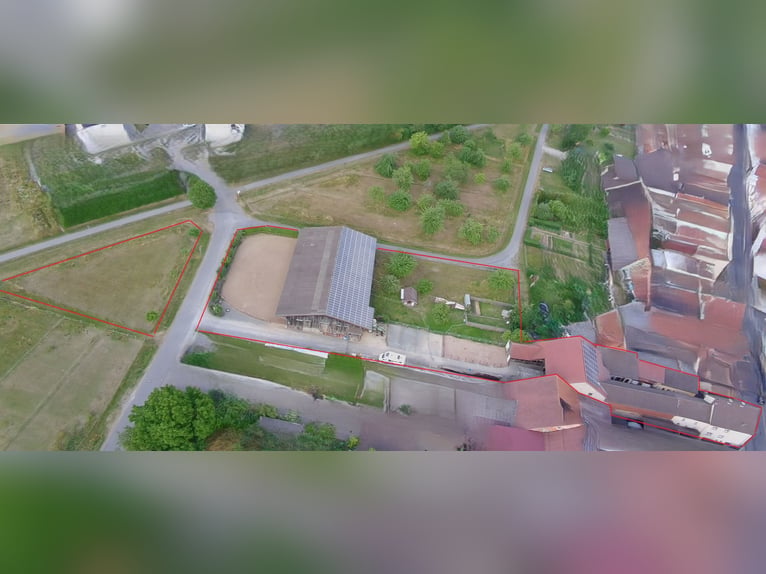 Fattoria equestre attraente con potenziale di utilizzo versatile a Bad Neustadt an der Saale