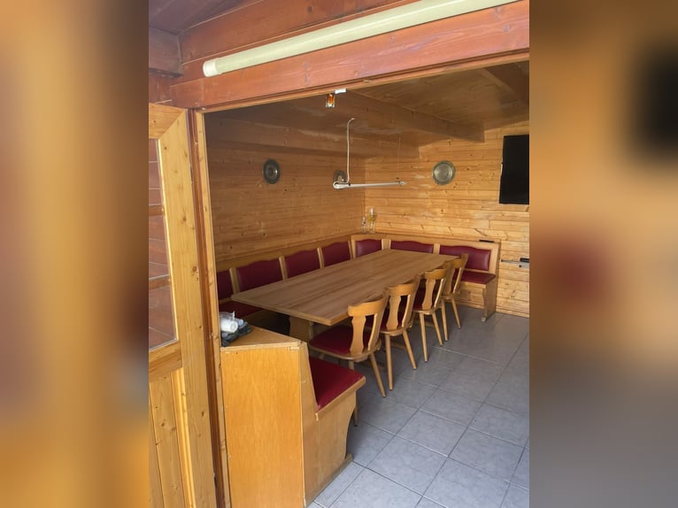 Fattoria equestre con grande casa residenziale e potenziale di sviluppo