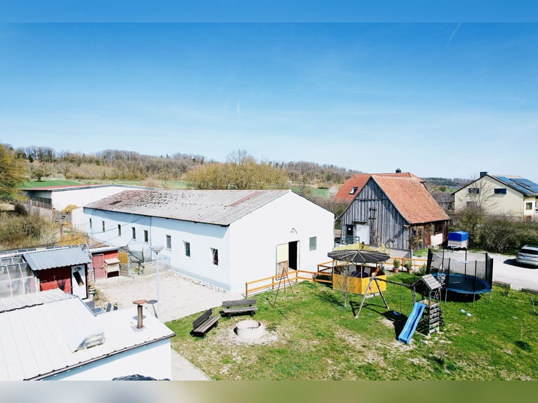 Fattoria equestre con grande casa residenziale e potenziale di sviluppo