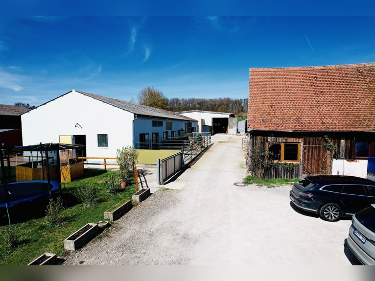 Fattoria equestre con grande casa residenziale e potenziale di sviluppo