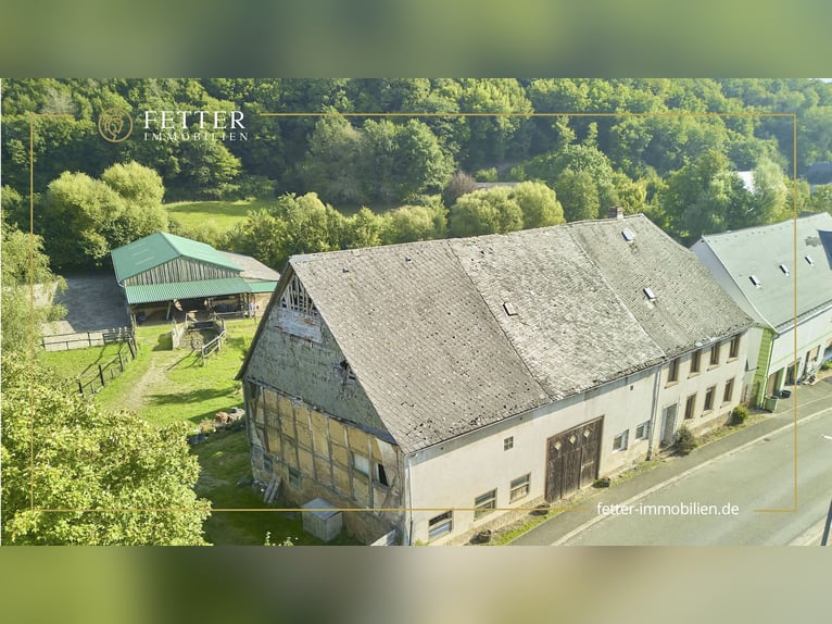 Fattoria equestre in Renania-Palatinato con 8 box per cavalli e una piccola arena a Niederhambach!