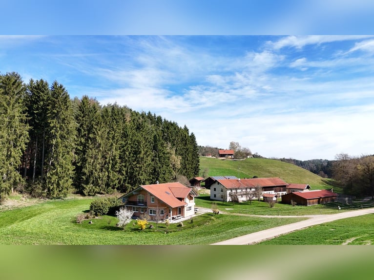 Fattoria equestre unica nel suo genere in posizione panoramica e isolata, circa 4 ettari di terreno 