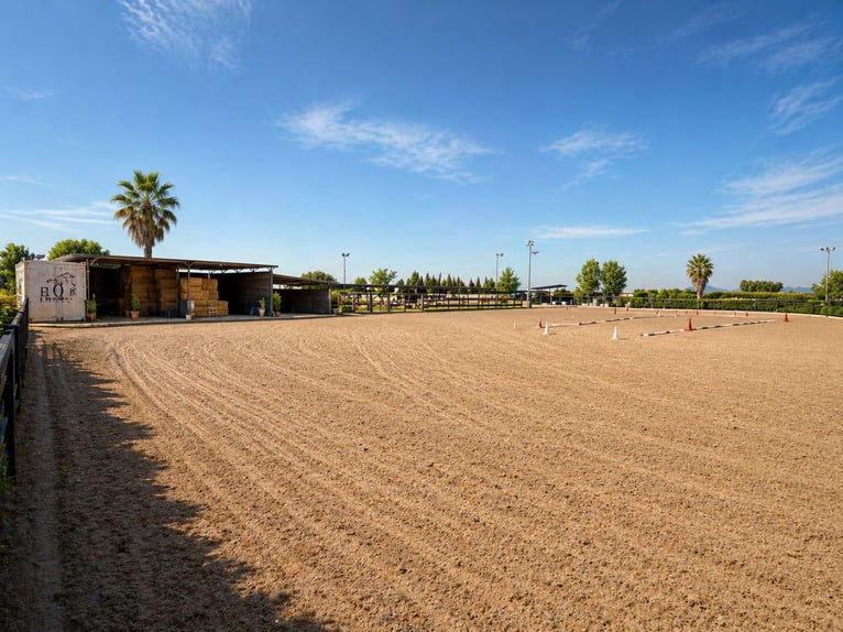Fattoria equestre vicino al mare