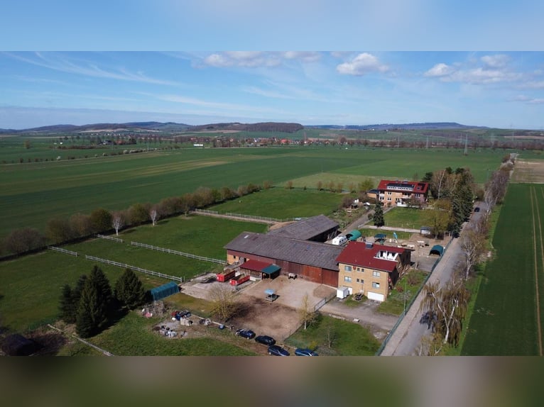Fattoria esclusiva con maneggio e casa plurifamiliare – un connubio di rendimento e qualità della vi