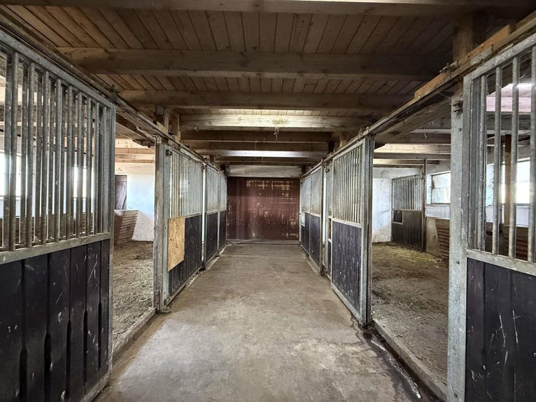 Fattoria esclusiva con maneggio e casa plurifamiliare – un connubio di rendimento e qualità della vi