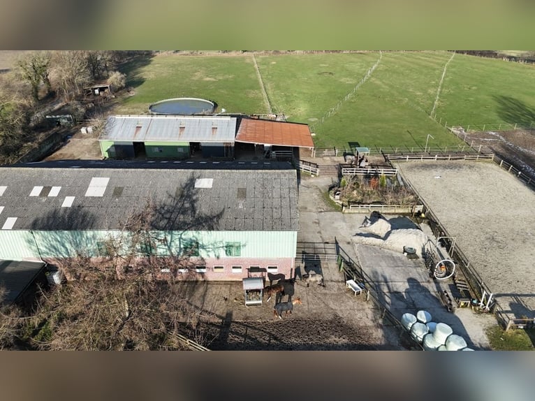 Fattoria per appassionati di cavalli con casa residenziale in una splendida posizione ai margini del