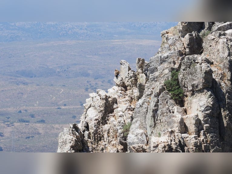 Fattoria per il tempo libero e la caccia grossa