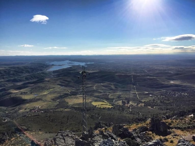 Fattoria per il tempo libero e la caccia grossa