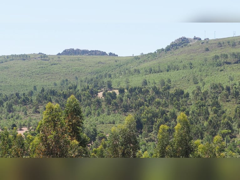 Fattoria per il tempo libero e la caccia grossa