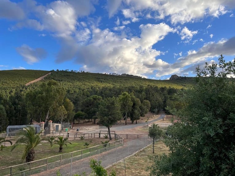 Fattoria per il tempo libero e la caccia grossa