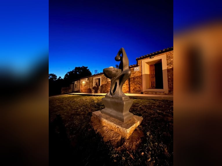 Fattoria per il tempo libero e la caccia grossa