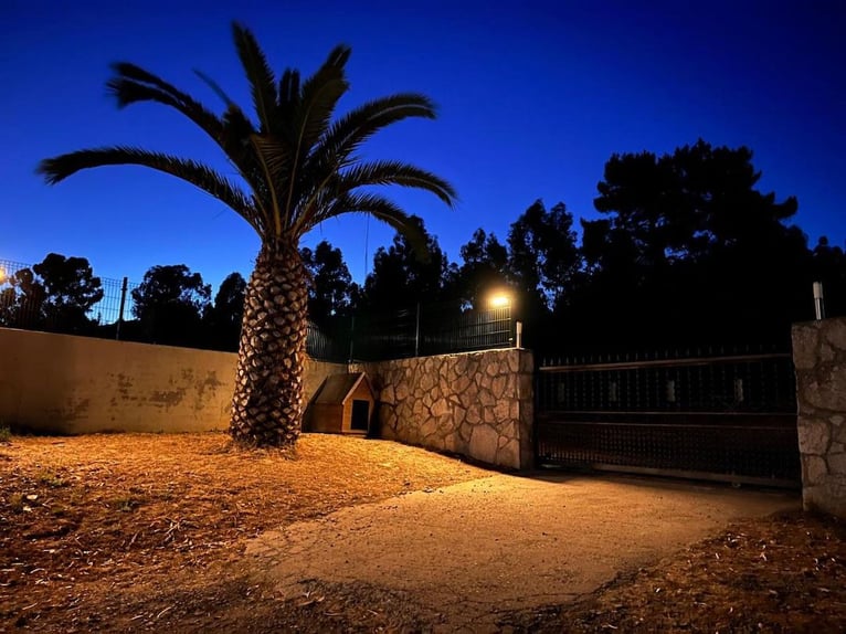 Fattoria per il tempo libero e la caccia grossa