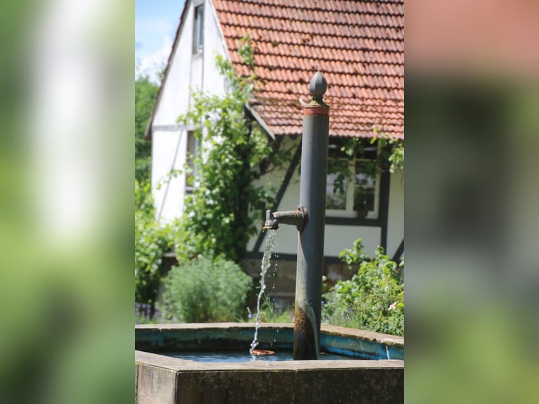 Fienile storico / piccolo maneggio nelle vicinanze di Bamberg, possibile utilizzo di una scuderia co