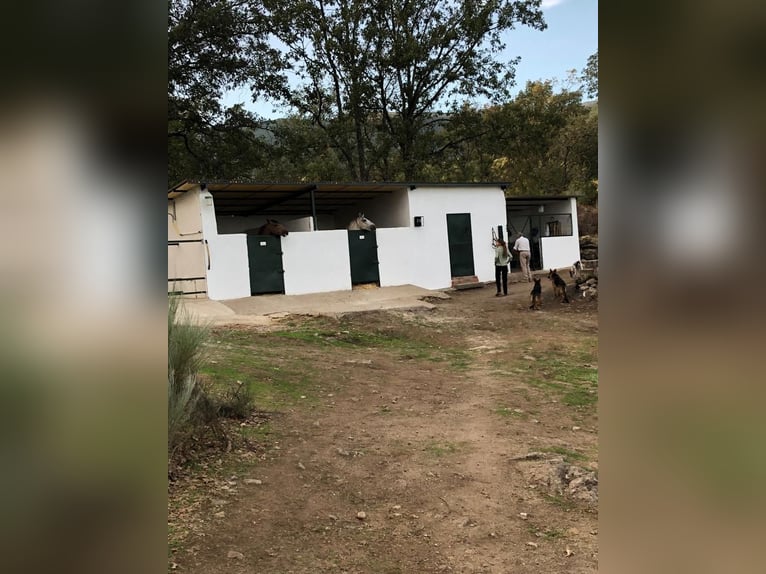 Finca a Ensueño nella zona di Gredos.