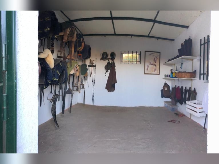 Finca a Ensueño nella zona di Gredos.