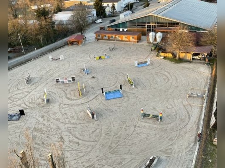 Gepflegte Reitanlage direkt an der Grenze zur Schweiz!