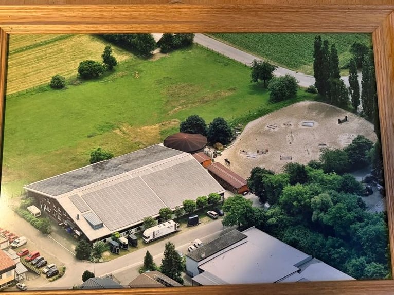 Gepflegte Reitanlage direkt an der Grenze zur Schweiz!