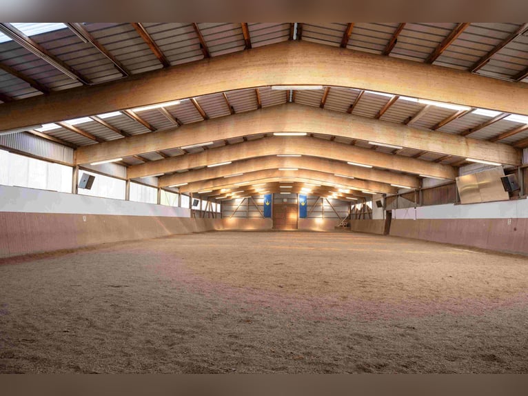 Grande centro equestre vicino a Kiel, situato in una posizione eccellente, con diverse abitazioni e 