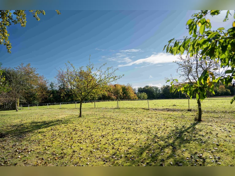 Grande centro equestre vicino a Kiel, situato in una posizione eccellente, con diverse abitazioni e 