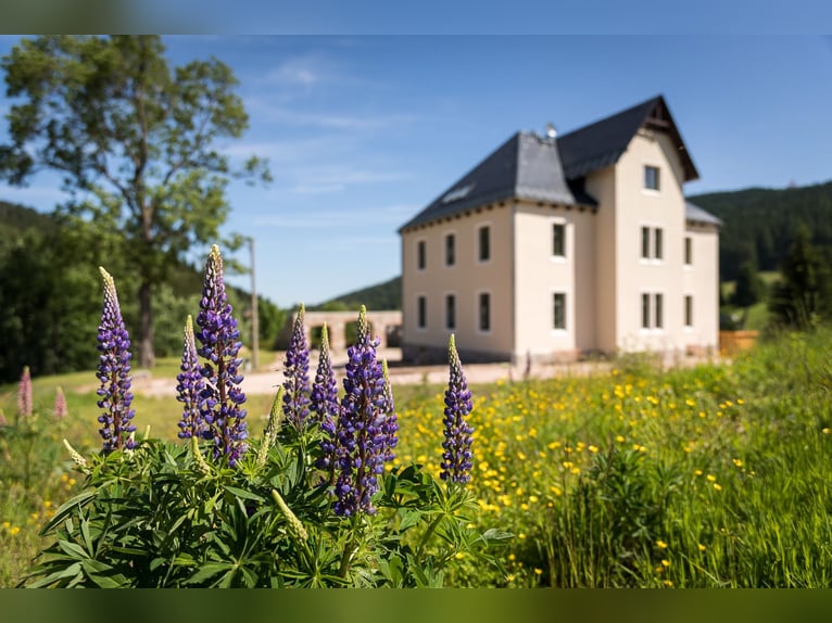 Historisches Villenanwesen im Erzgebirge – Absolute Alleinlage in traumhafter Natur!