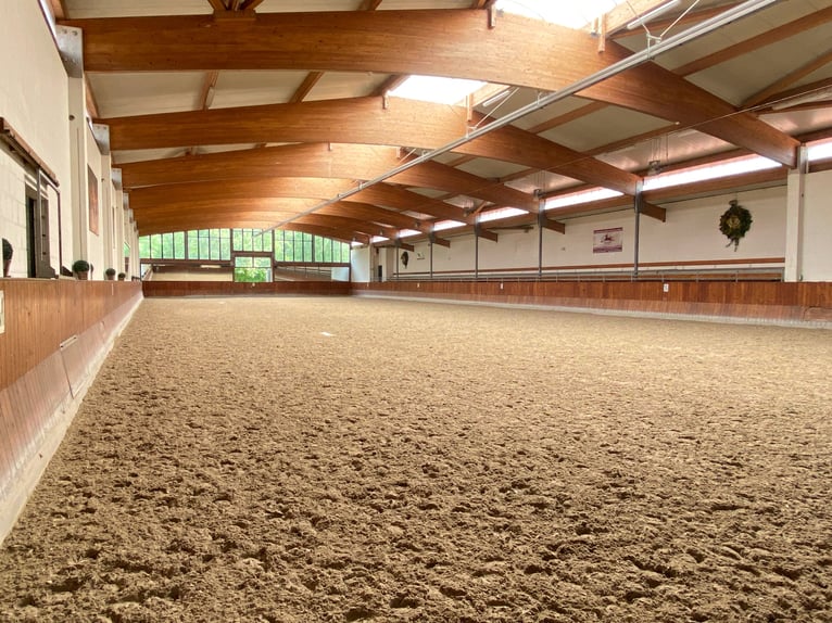 Hochwertige Reitanlage in Aachen