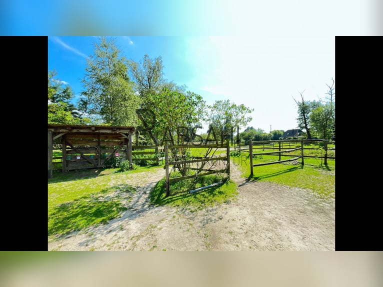 Hofensemble mit ausgebauter Tenne und 1,6ha Land direkt am Haus! Genehmigte Pferdehaltung!