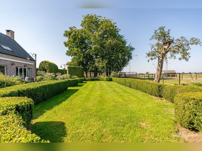 Hoogwaardig afgewerkte villa met stalgebouw en aanpalende weides op ca. 1,7 ha te Herenthout