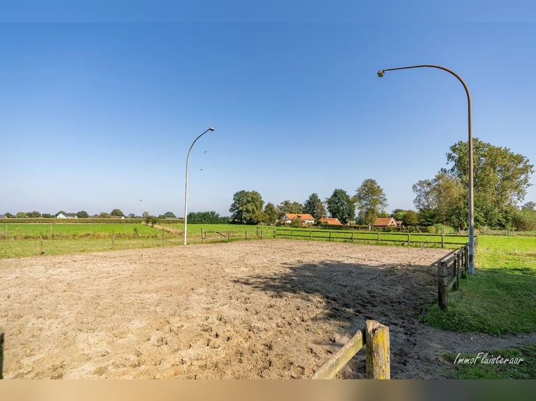 Hoogwaardig afgewerkte villa met stalgebouw en aanpalende weides op ca. 1,7 ha te Herenthout