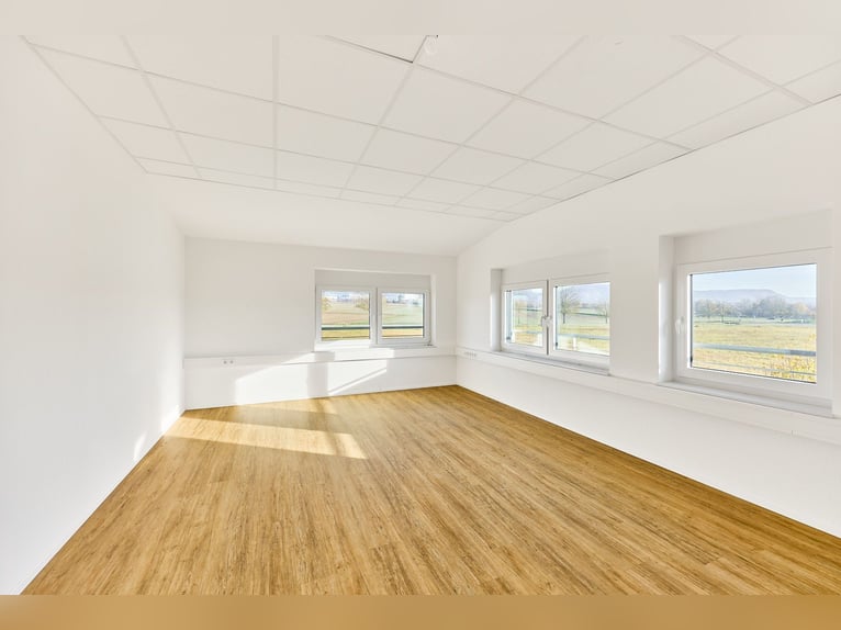 Immobiliare commerciale a Herrenberg – Clinica veterinaria per cavalli di nuova costruzione con dive