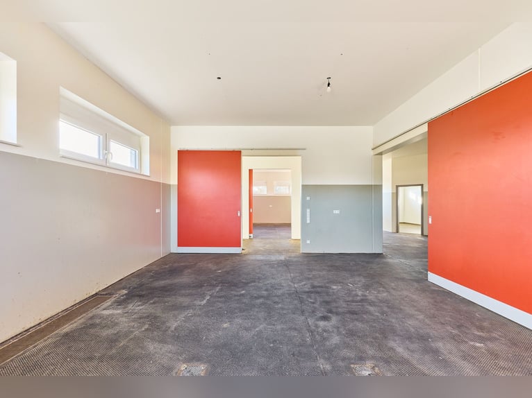 Immobiliare commerciale a Herrenberg – Clinica veterinaria per cavalli di nuova costruzione con dive