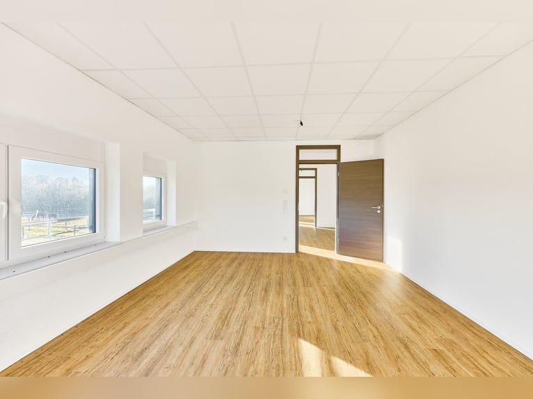 Immobiliare commerciale a Herrenberg – Clinica veterinaria per cavalli di nuova costruzione con dive