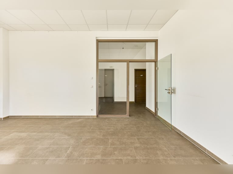 Immobiliare commerciale a Herrenberg – Clinica veterinaria per cavalli di nuova costruzione con dive