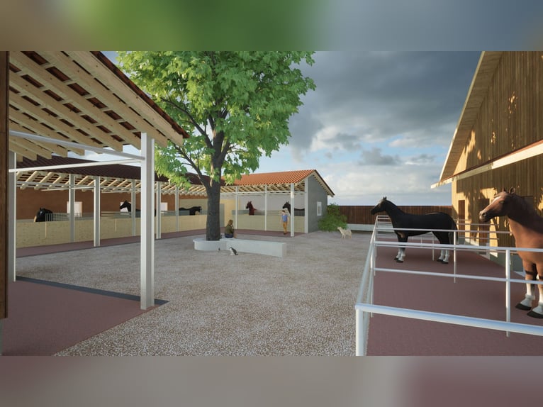 Immobiliare equestre con 3,3 ettari di prato in Svizzera (vicino a San Gallo)