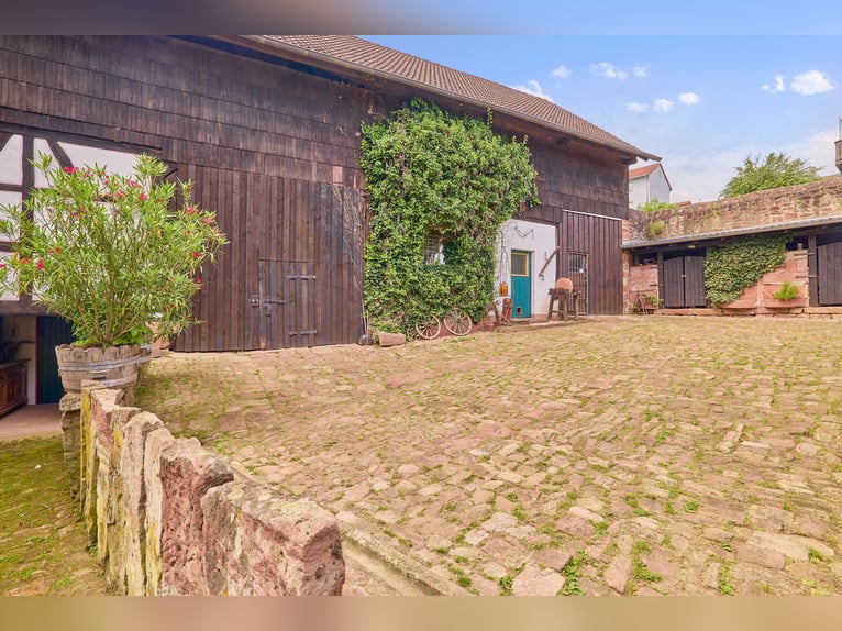 Immobiliare equestre nell'Odenwald con due abitazioni e spazio per 5-10 cavalli!