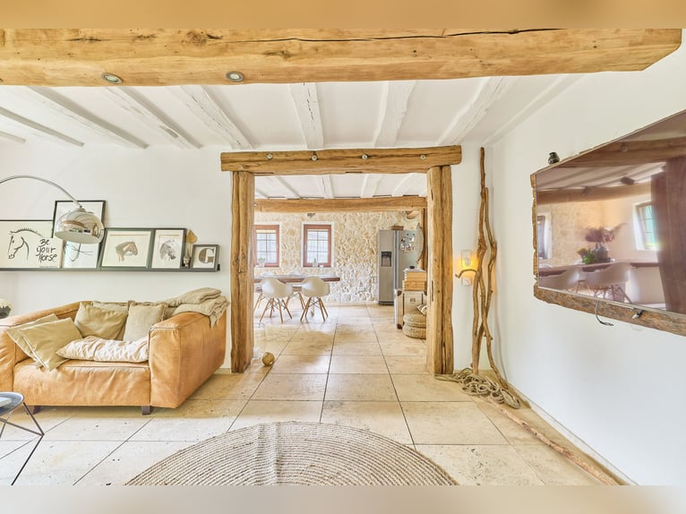 Immobiliare equestre nell'Odenwald con due abitazioni e spazio per 5-10 cavalli!