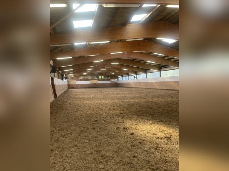 Impianto equestre a Kiel con 6 appartamenti vicino alla spiaggia, senza agenzia