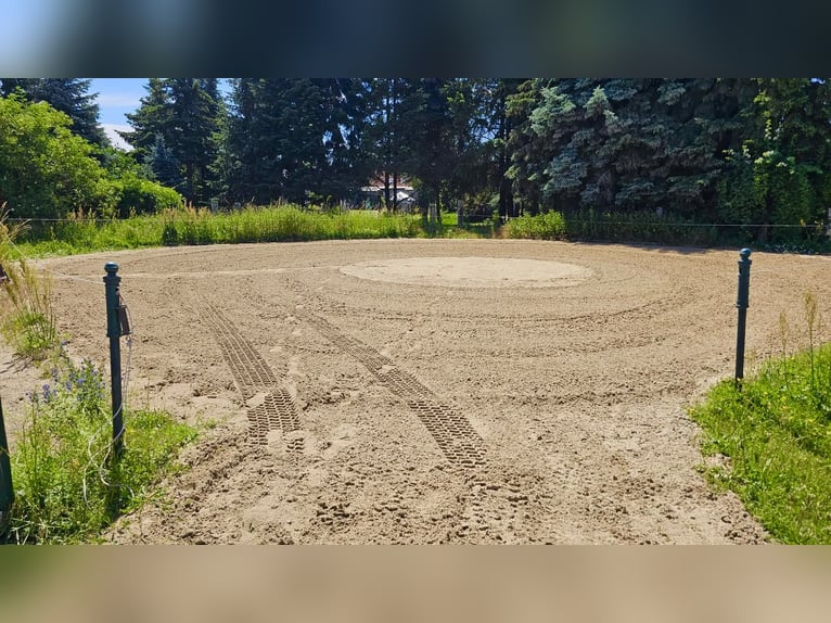 Impianto equestre con grande potenziale di sviluppo vicino a Berlino