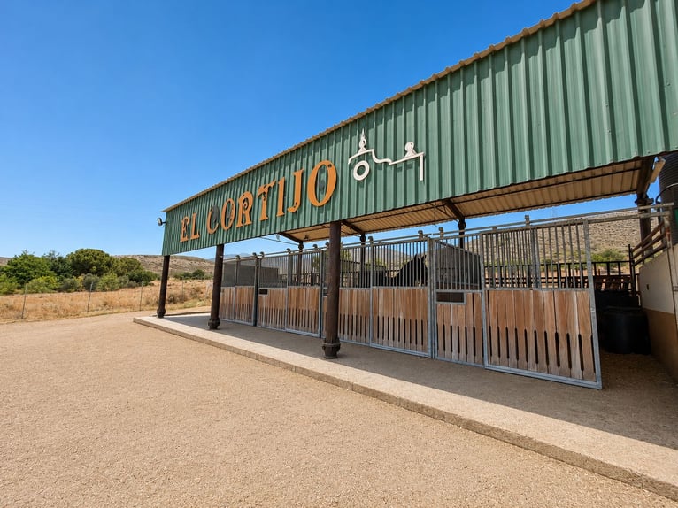 Impianto equestre con progetto di residenza