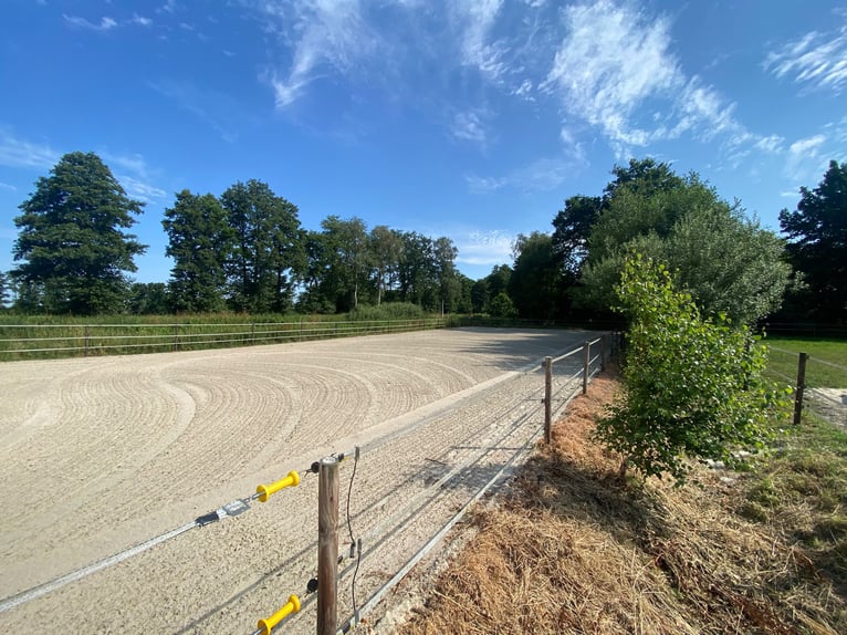 Impianto equestre polivalente con ampio bifamiliare a Hude (distretto di Oldenburg)