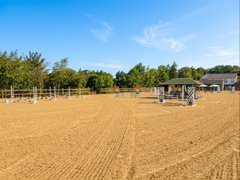Impianto equestre polivalente con ampio bifamiliare a Hude (distretto di Oldenburg)