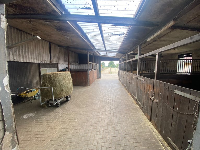 Impianto equestre polivalente con ampio bifamiliare a Hude (distretto di Oldenburg)