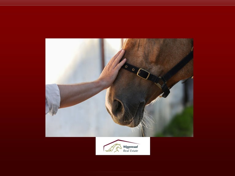 Impianto equestre professionale in un idilliaco contesto rurale nel NRW