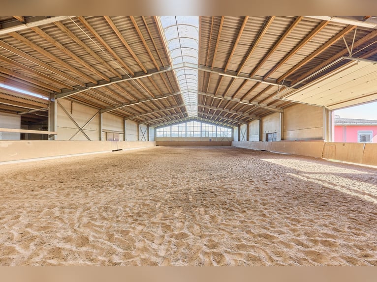 Impianto equestre vicino a Coblenza in vendita – situato nel quartiere speciale "Vivere con i Cavall