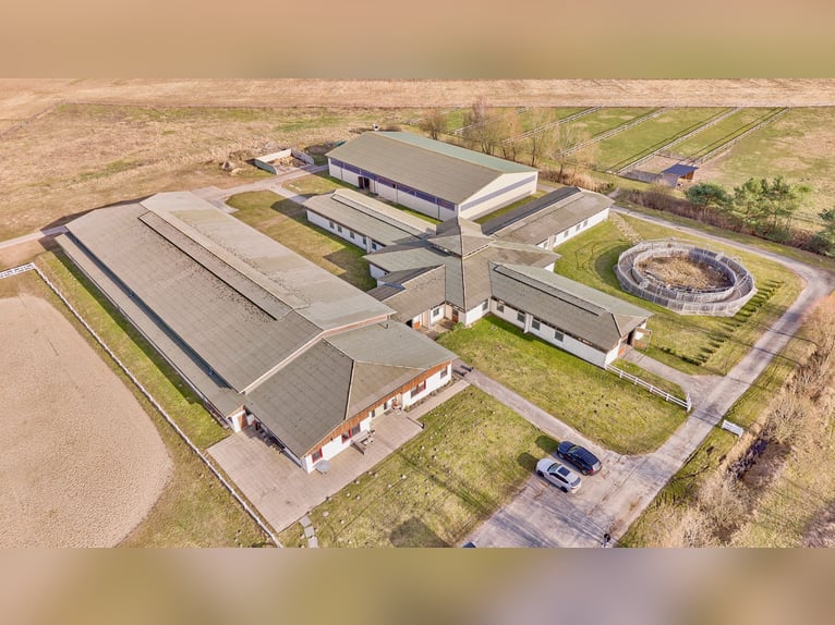 Impresa equestre in Meclemburgo-Pomerania Anteriore – situata direttamente sul Lago di Meclemburgo, 